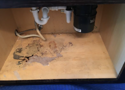 Water Damage Sink Base Cabinet From Leaking Pipe - Before Restoration